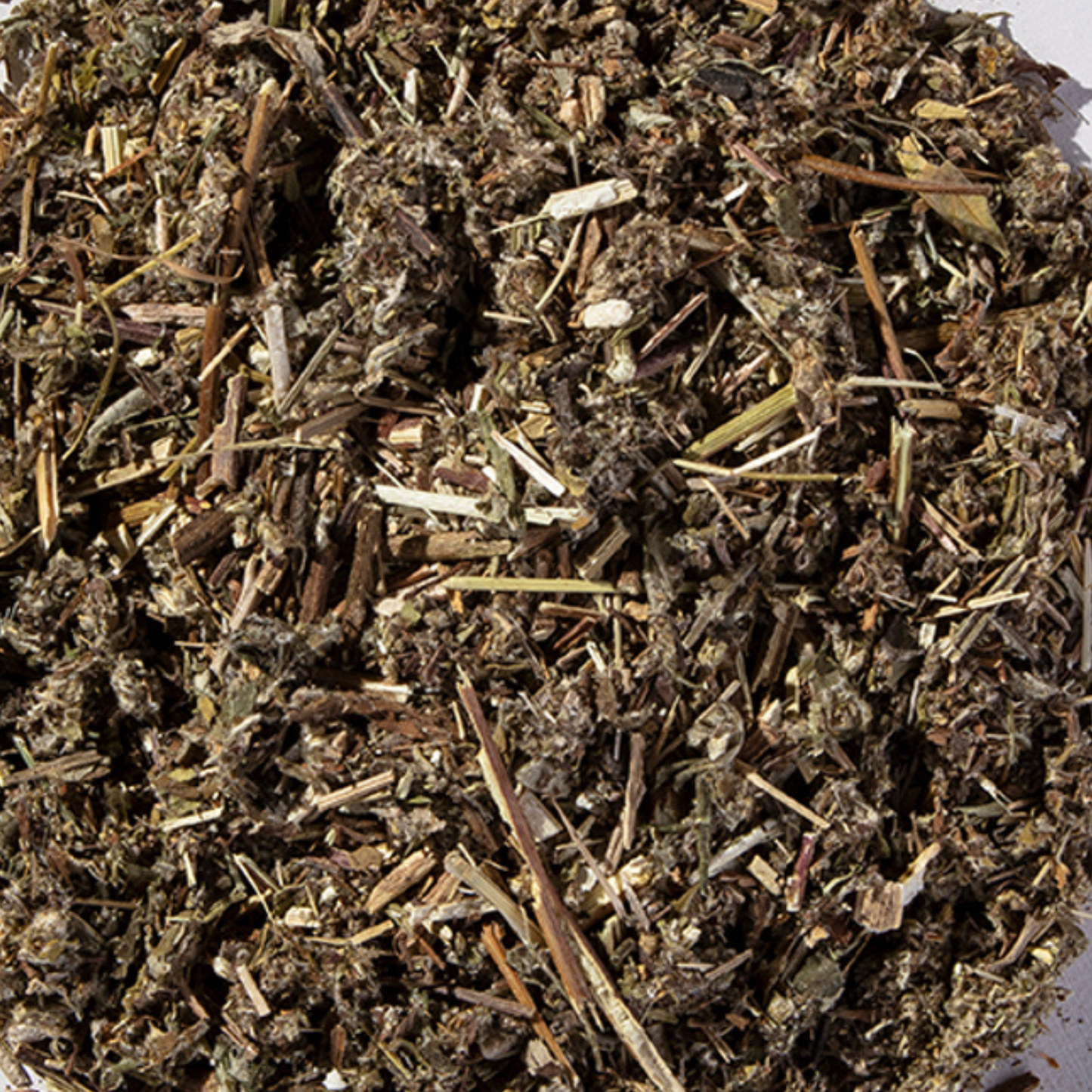 Mugwort