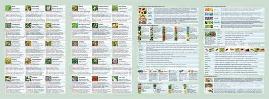 Aromatherapy Guide
