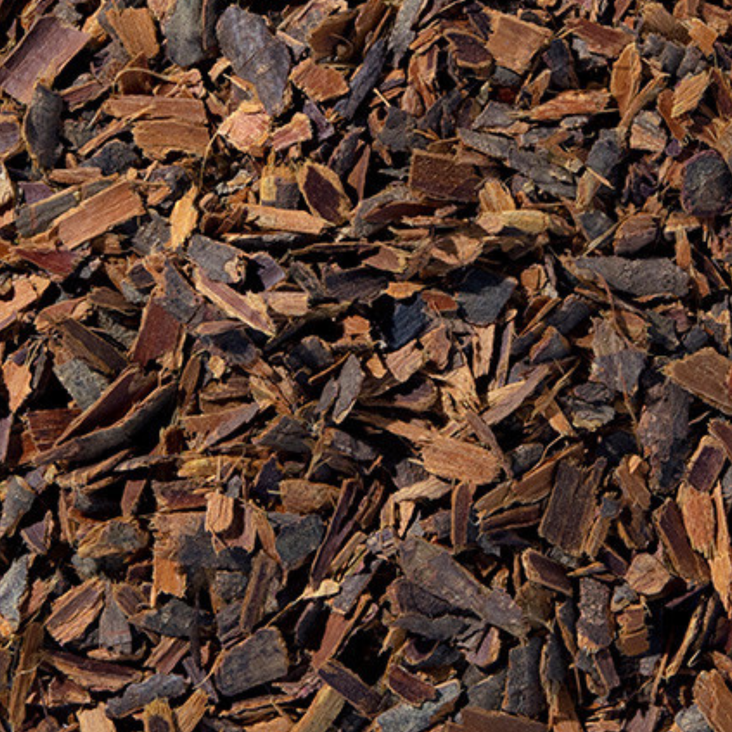 Buckthorne Bark