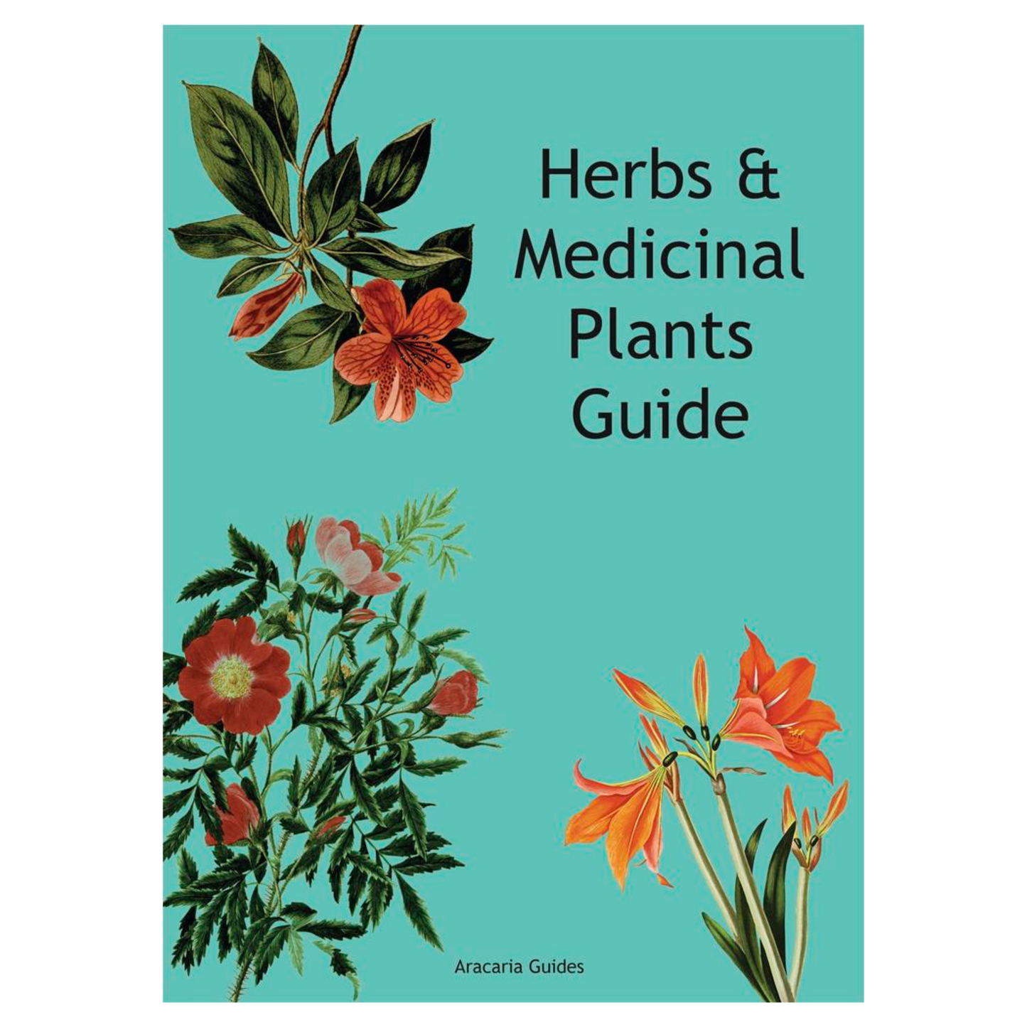 Herbs & Medicinal Plants Guide