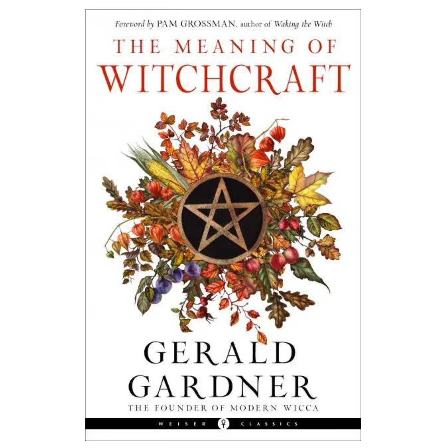 The Meaning of Witchcraft