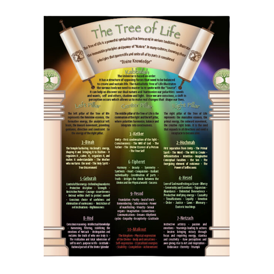 Tree of Life  - Information Chart