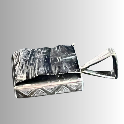 Shungite Soul Warrior Pendant