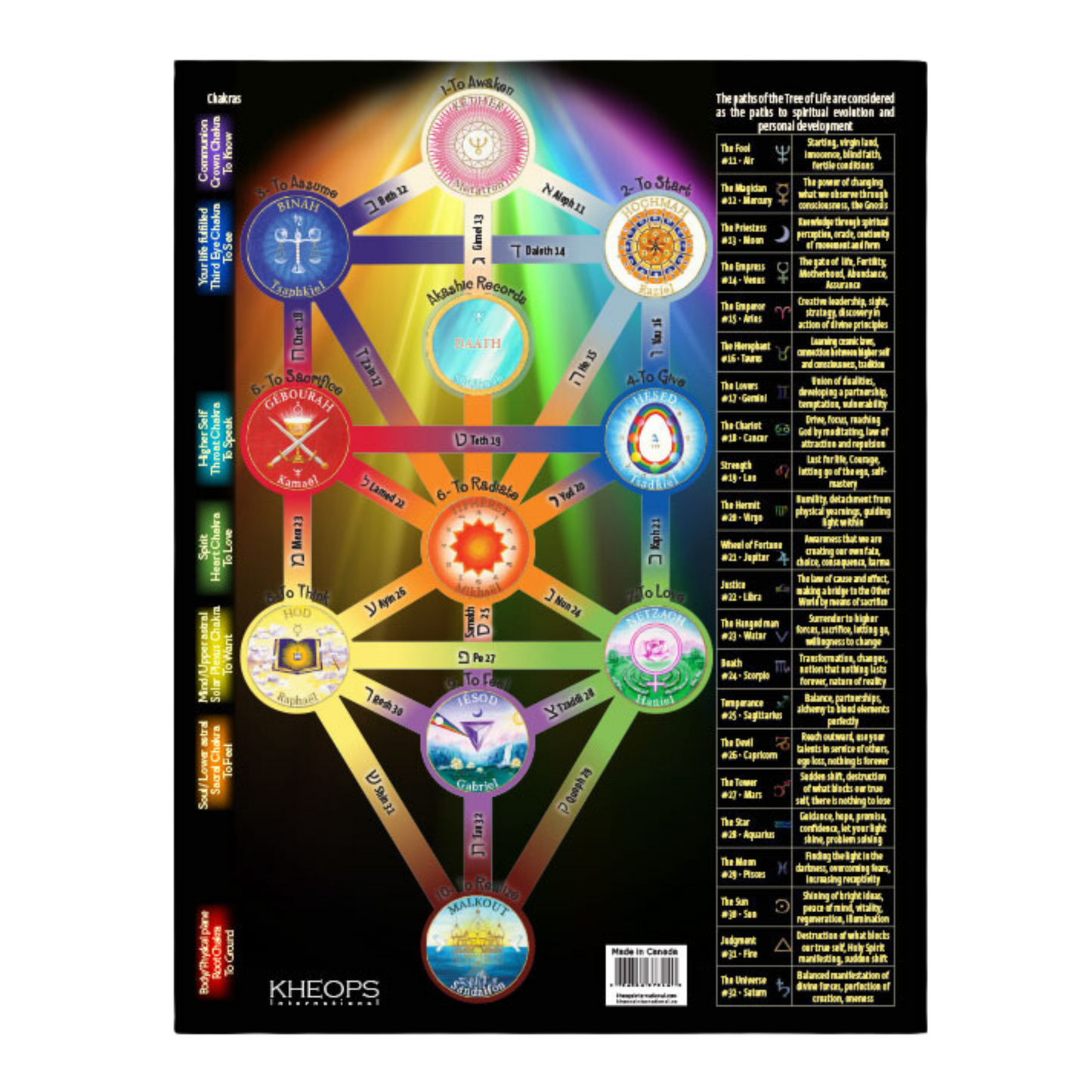 Tree of Life  - Information Chart