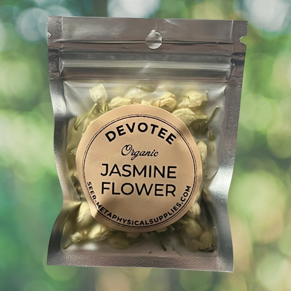 Jasmine Flower