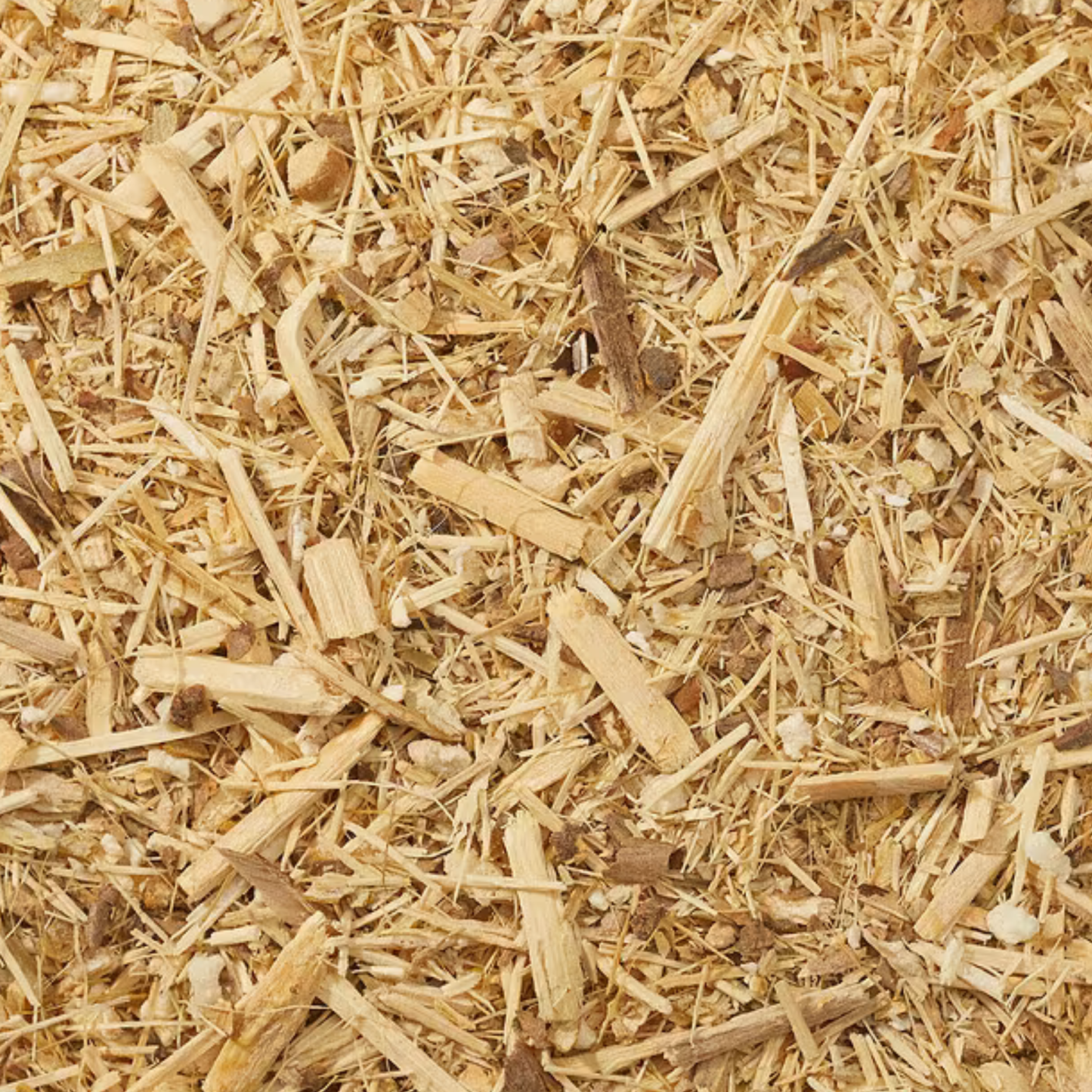 Eleuthero Root