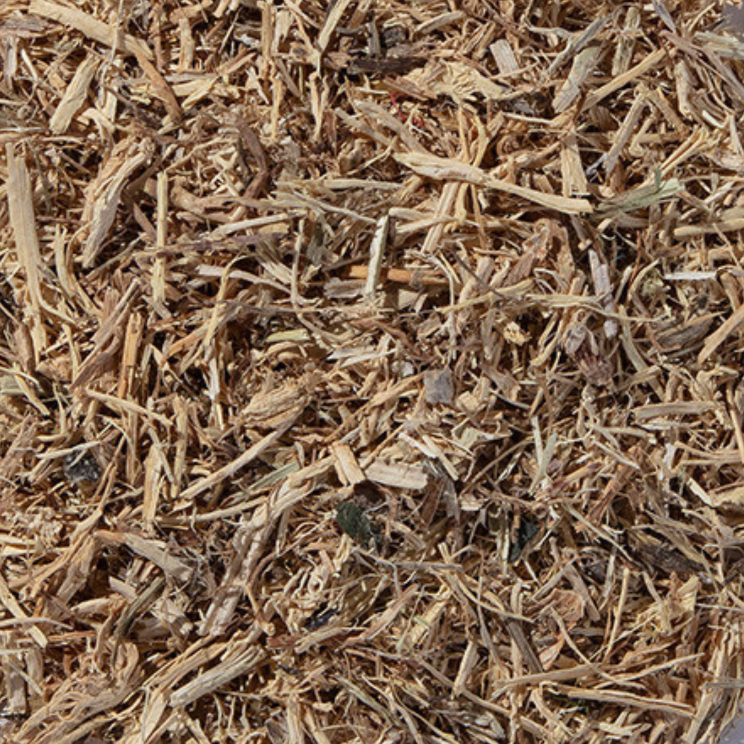 Nettle Root