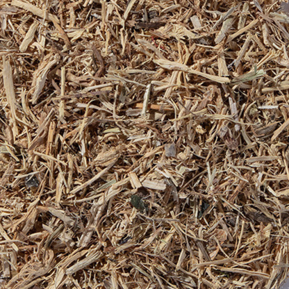 Nettle Root