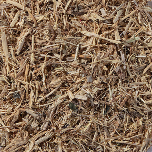 Nettle Root