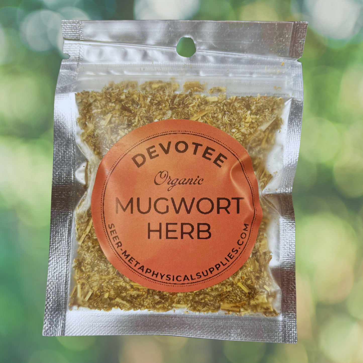 Mugwort