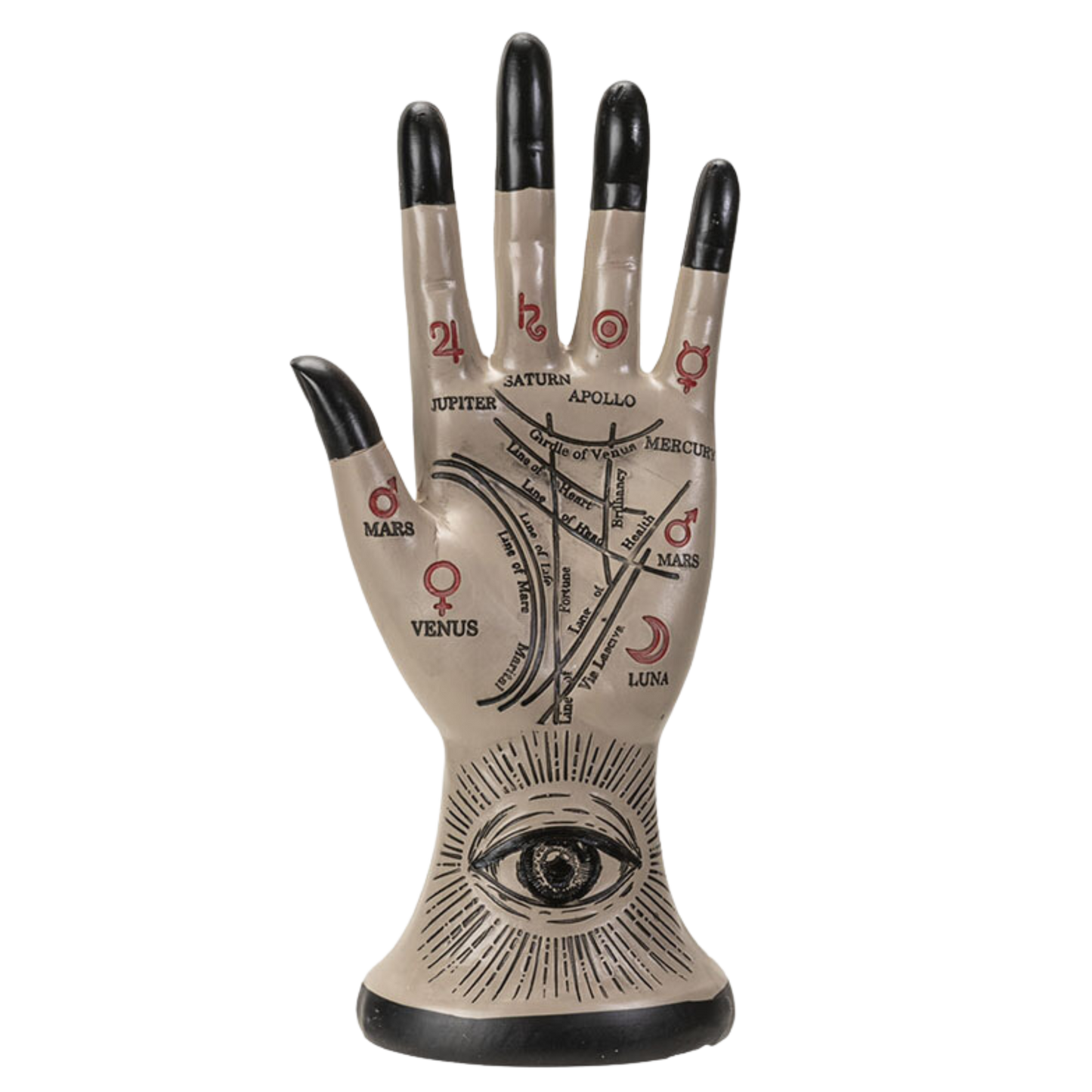 PALMISTRY HAND