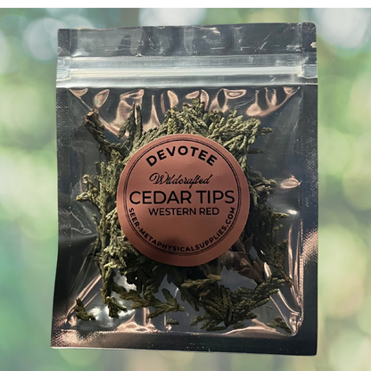 Cedar Tips Western Red Wildcrafted)
