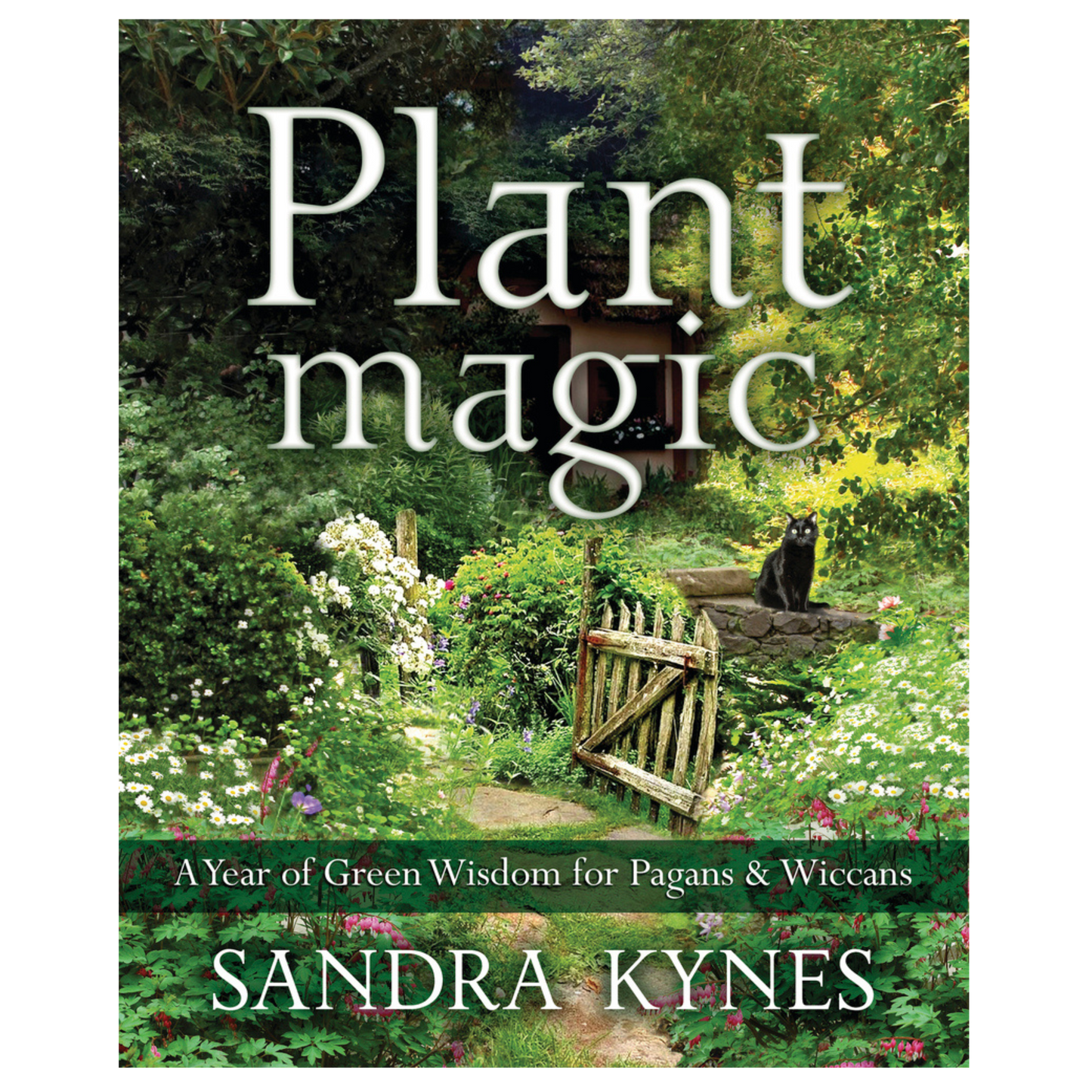 Plant Magic