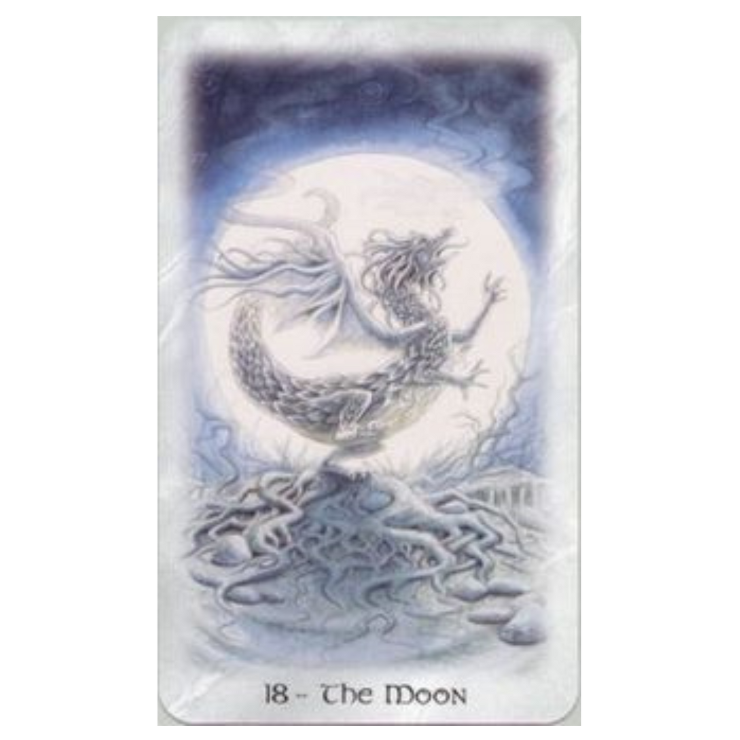 The Celtic Dragon Tarot Kit