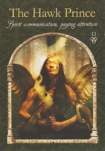 Wisdom Of The Hidden Realms Oracle