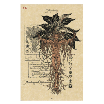The Magickal Botanical Oracle