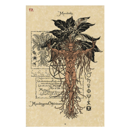 The Magickal Botanical Oracle