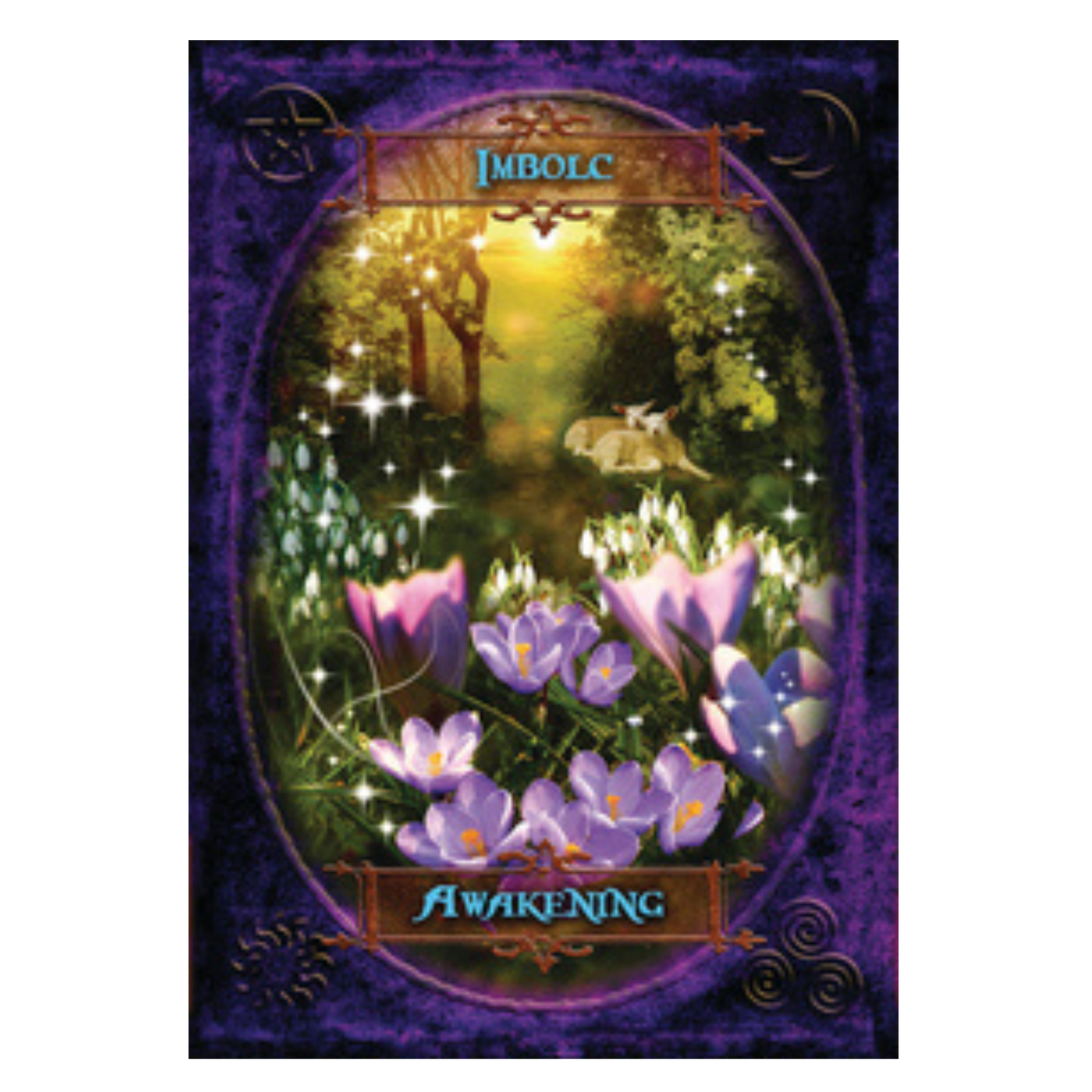 Witches' Wisdom Oracle Cards