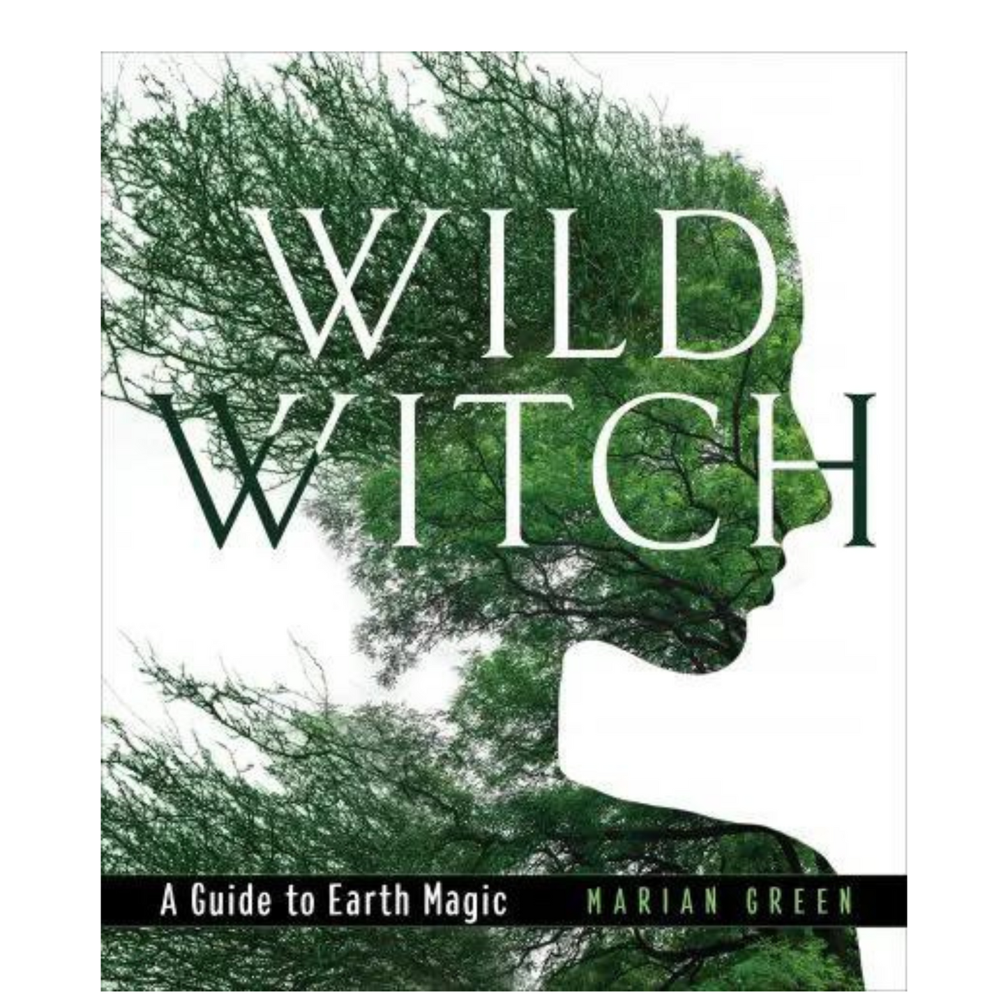 Wild Witch