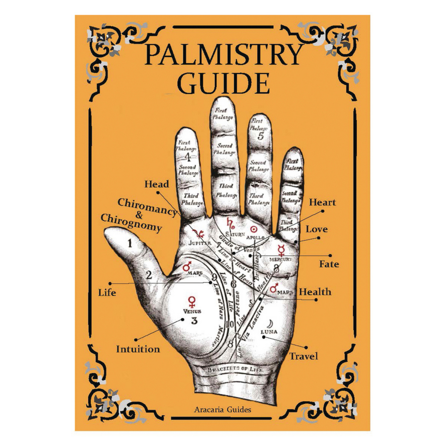 Palmistry Guide