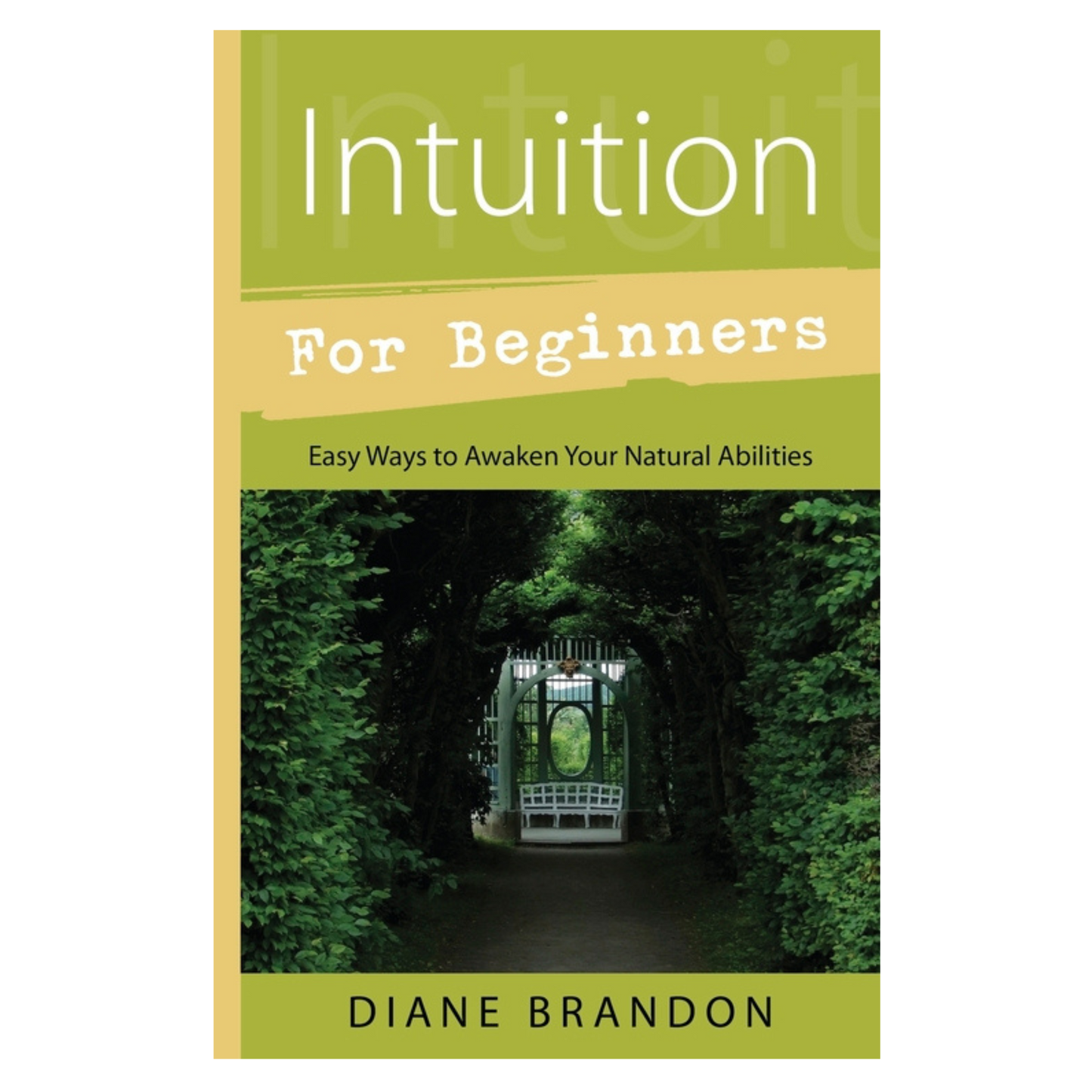 Intuition for Beginners