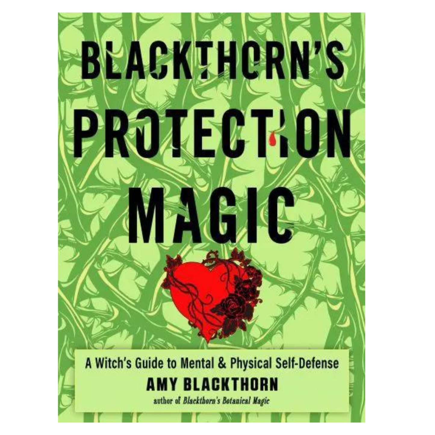 Blackthorn's Protection Magic