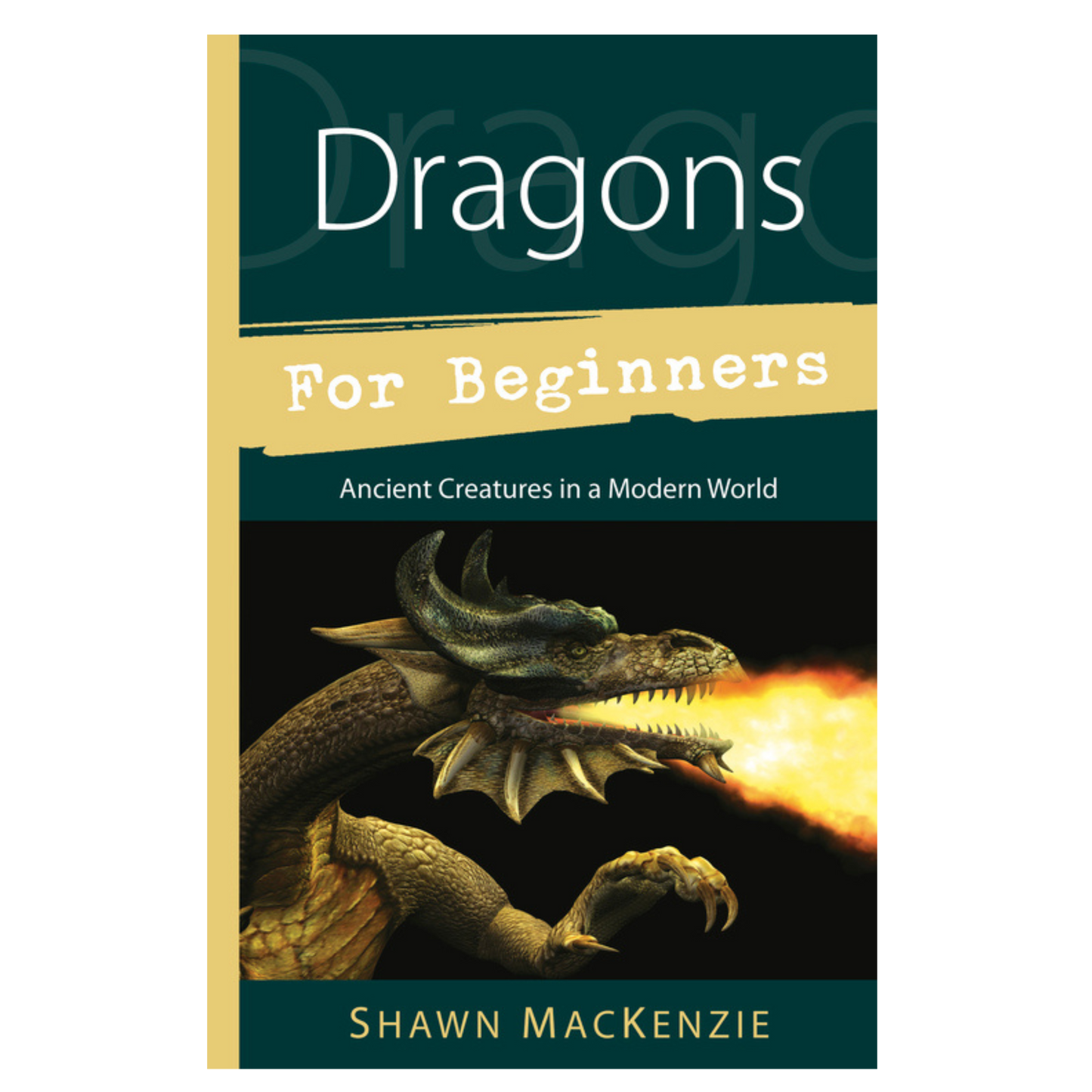 Dragons for Beginners