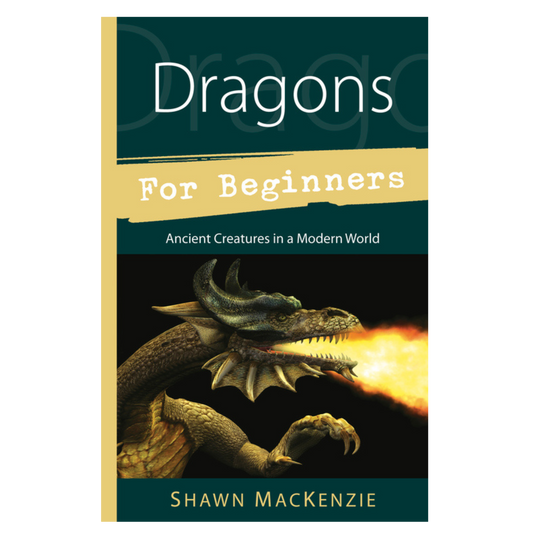 Dragons for Beginners